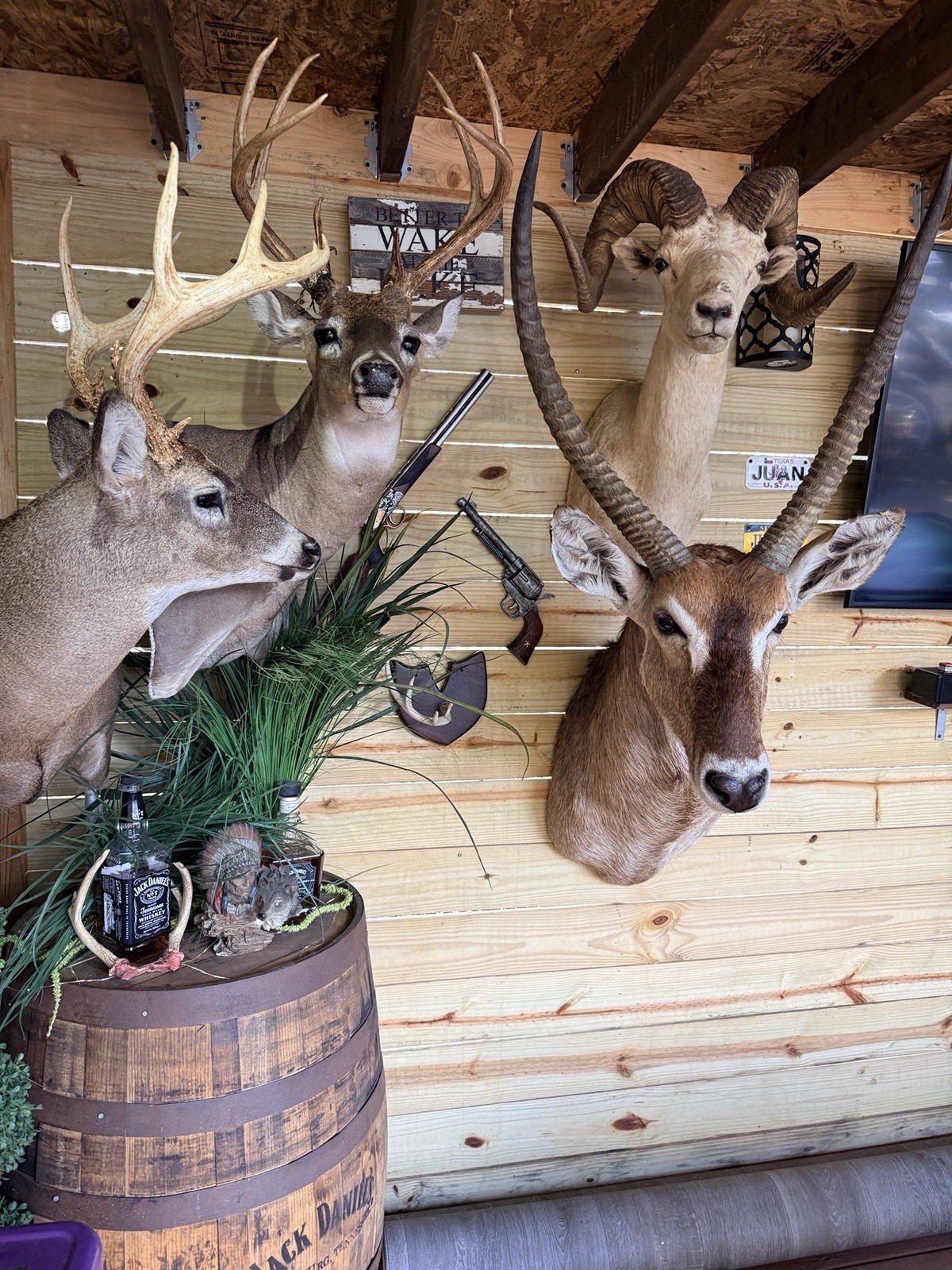 Large Water Buck Taxidermy Mount with Full Horns - accessory