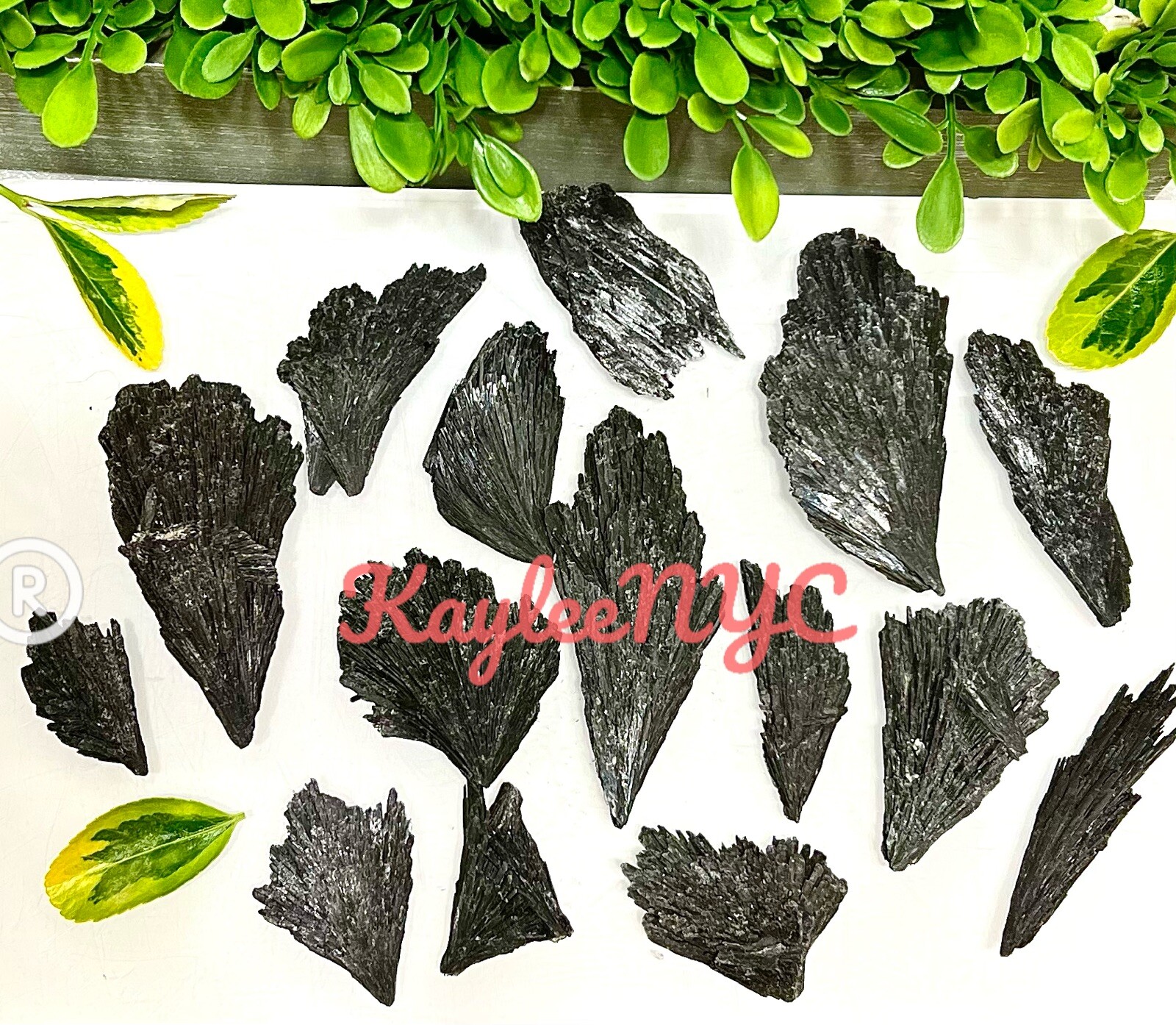 Natural Black Kyanite Raw Crystal Collection, 1 lb Bulk Lot - accessory