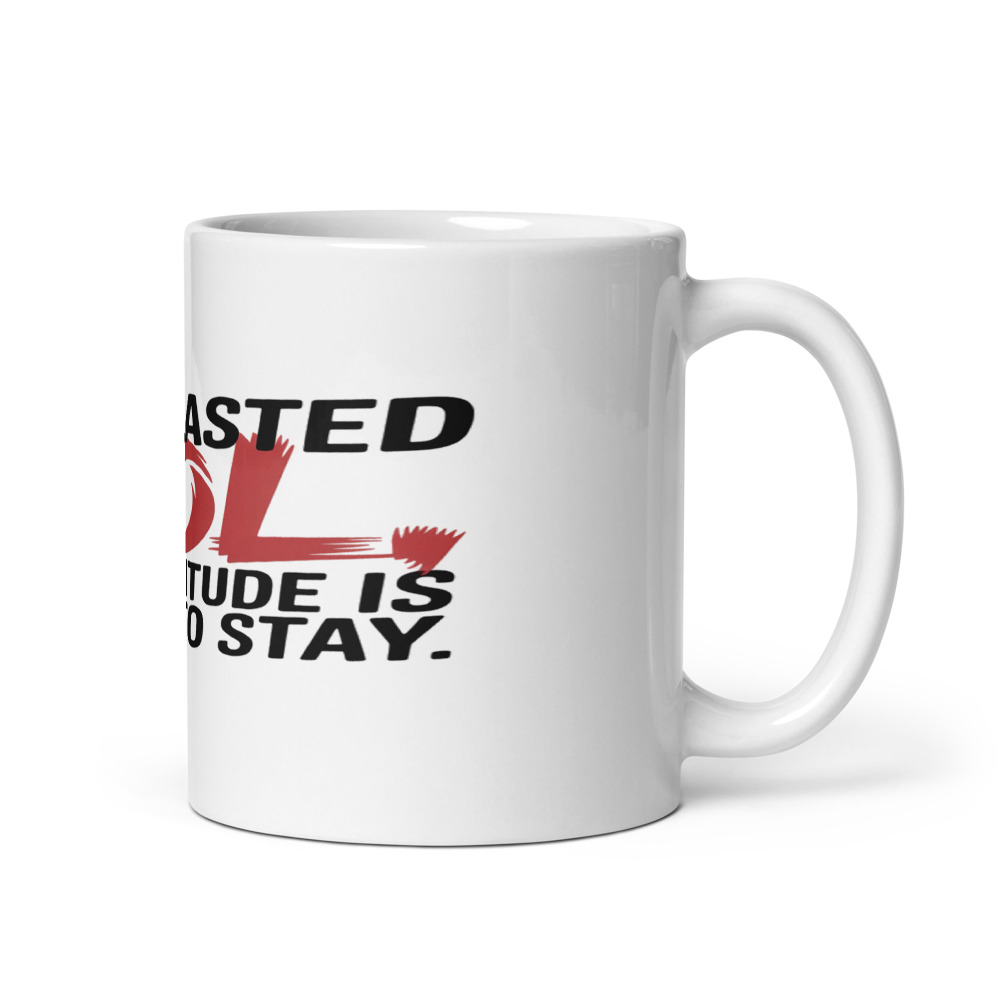 I OUTLASTED AOL, MY ATTITUDE IS HERE TO STAY - mug