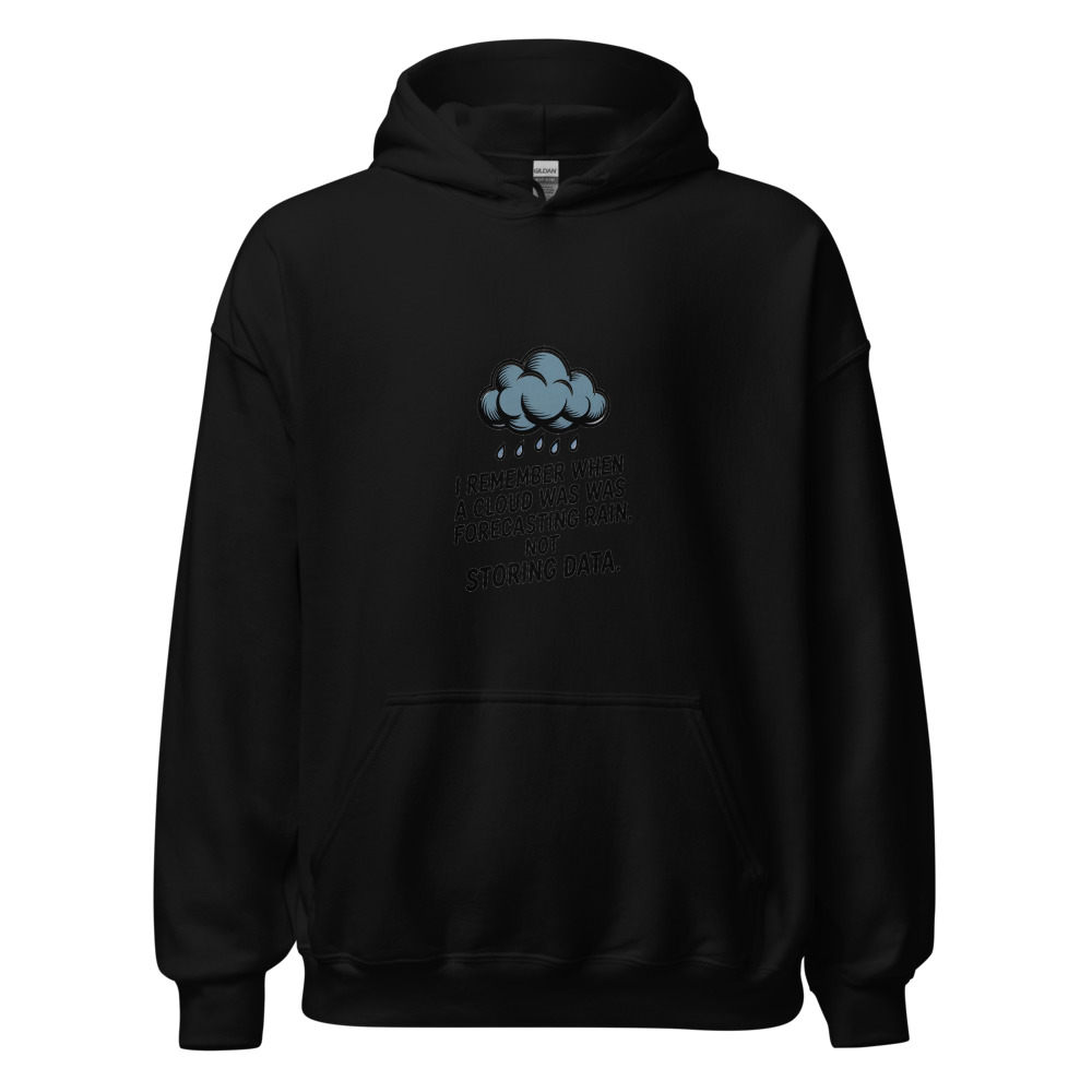 I REMEMBER WHEN A CLOUD WAS FORECASTING RAIN, NOT STORING DATA. - hoodie