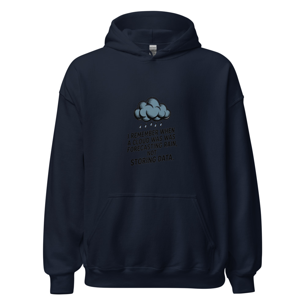 I REMEMBER WHEN A CLOUD WAS FORECASTING RAIN, NOT STORING DATA. - hoodie