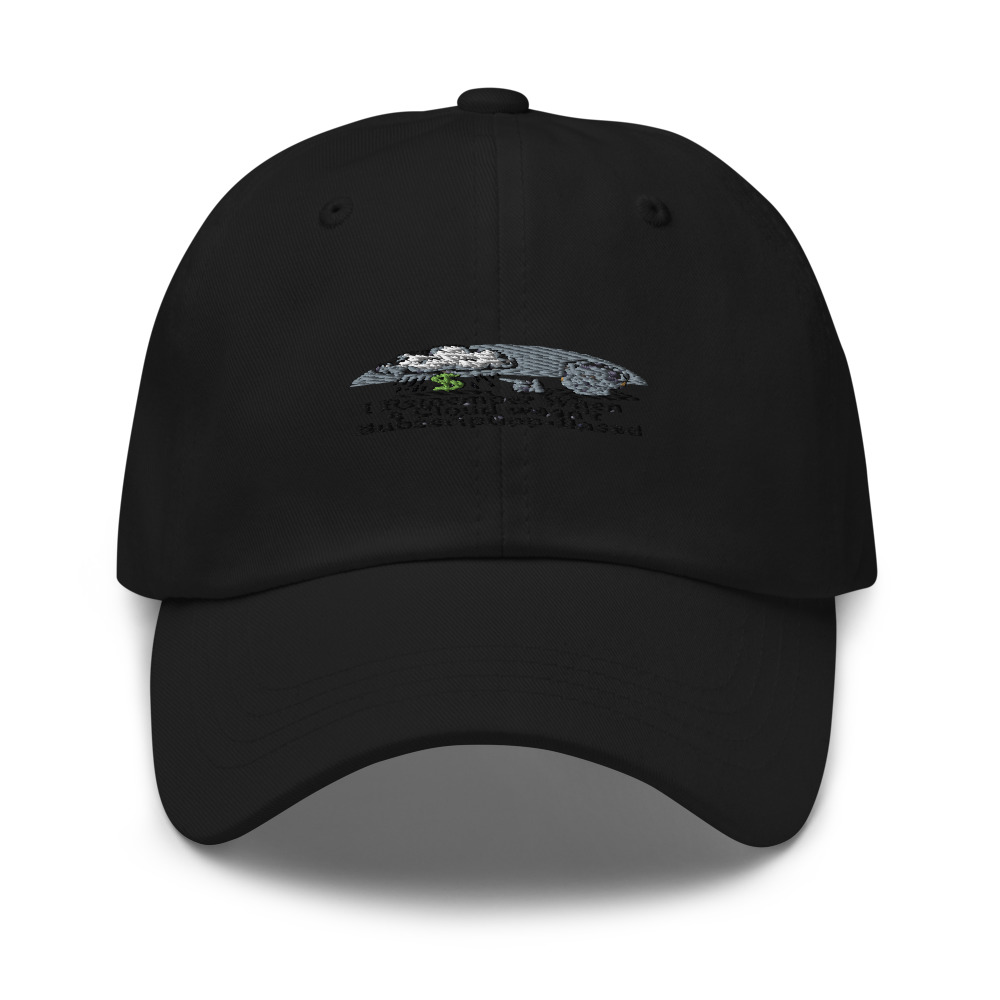 I REMEMBER WHEN A CLOUD WASN'T SUBSCRIPTION-BASED - hat