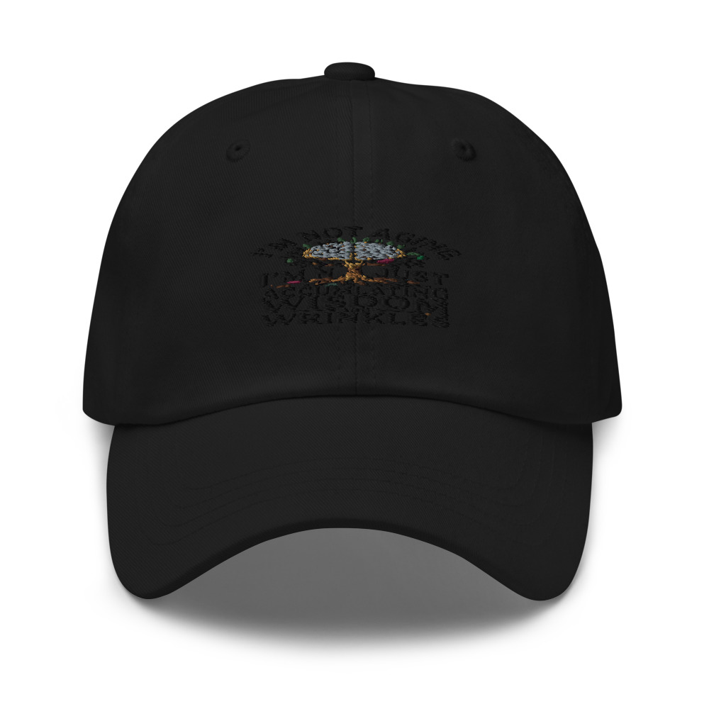 I'M NOT AGING, I'M JUST ACCUMULATING WISDOM AND WRINKLES - hat